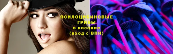 мяу мяу мука Алексеевка