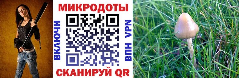 Псилоцибиновые грибы ЛСД  закладка  Волгодонск 